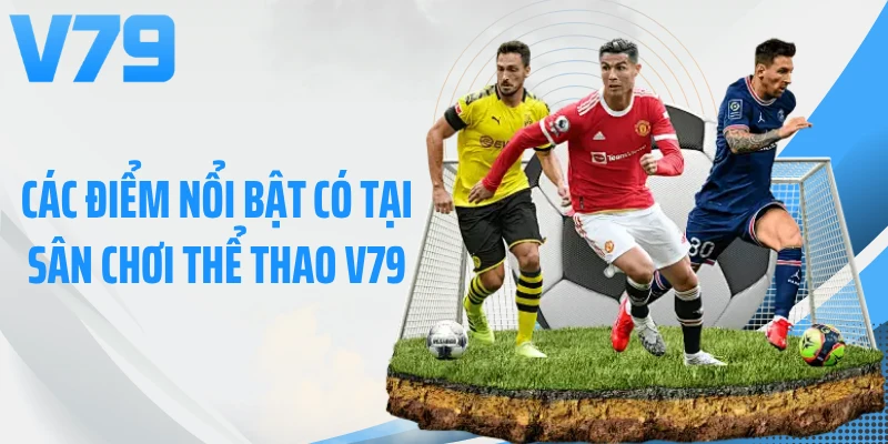 Các điểm nổi bật có tại sân chơi thể thao V79