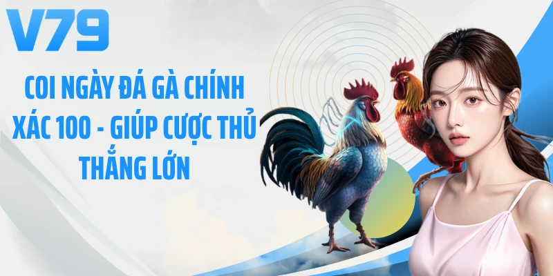 Coi Ngày Đá Gà Chính Xác 100 - Giúp Cược Thủ Thắng Lớn