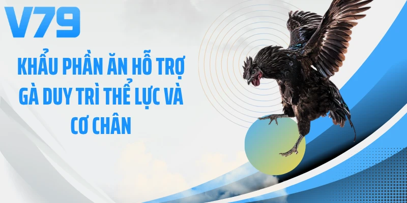 Khẩu phần ăn hỗ trợ gà duy trì thể lực và cơ chân