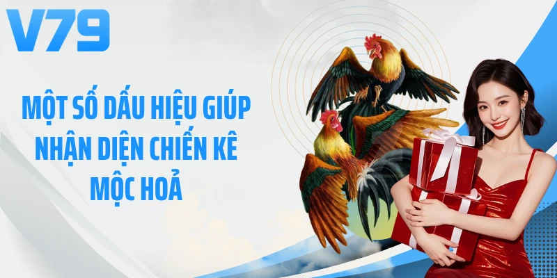 Một số dấu hiệu giúp nhận diện chiến kê mộc hoả