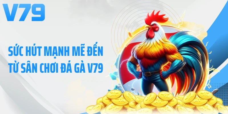 Sức hút mạnh mẽ đến từ sân chơi đá gà V79